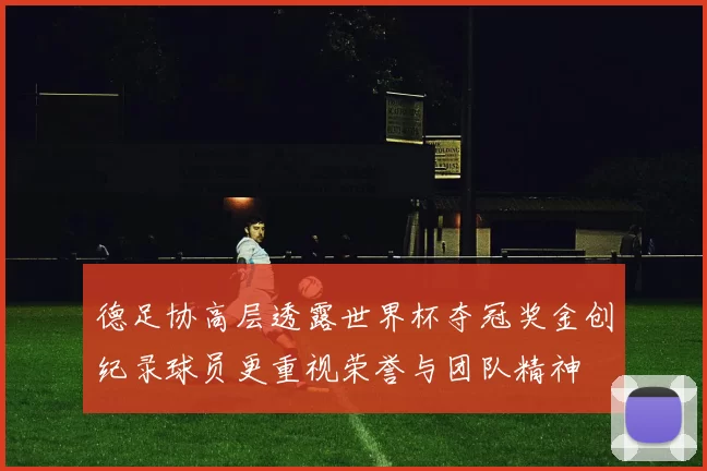 德足协高层透露世界杯夺冠奖金创纪录球员更重视荣誉与团队精神